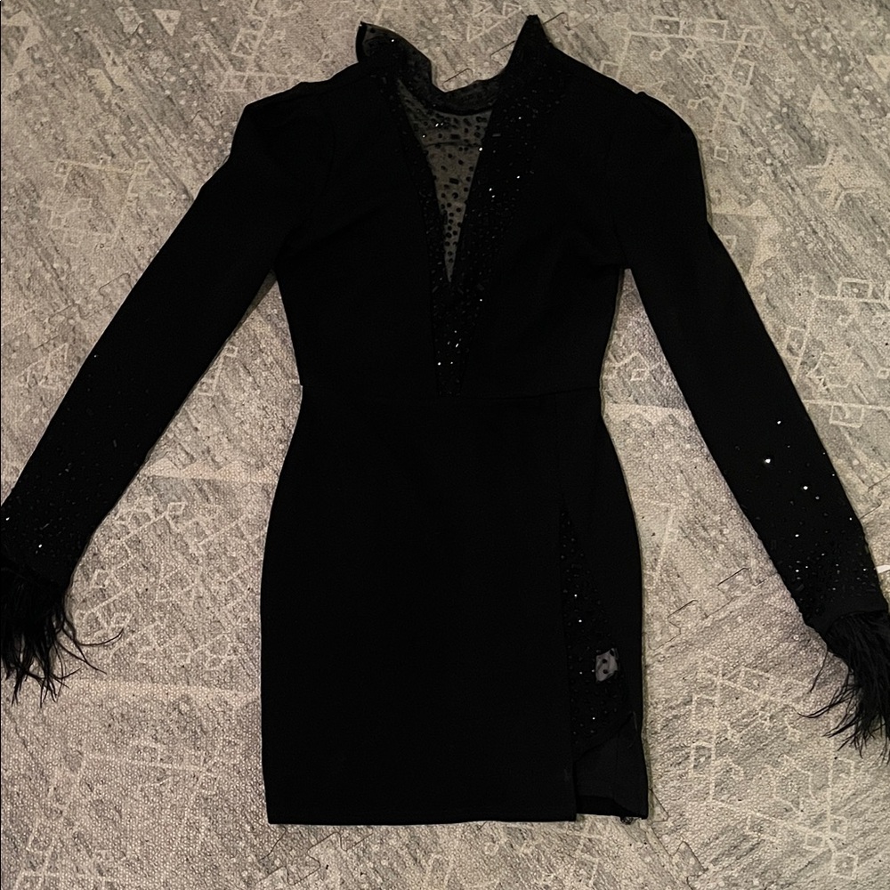 Windsor Black Long Sleeve Dress with Feather Accents